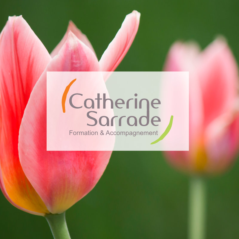 (c) Catherine-sarrade.com